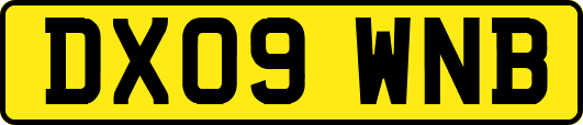 DX09WNB