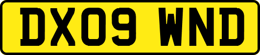 DX09WND