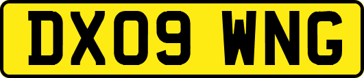 DX09WNG