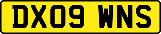 DX09WNS