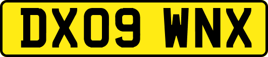 DX09WNX