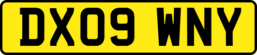 DX09WNY