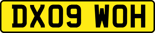 DX09WOH