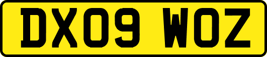 DX09WOZ