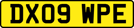 DX09WPE