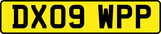 DX09WPP