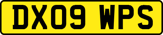 DX09WPS