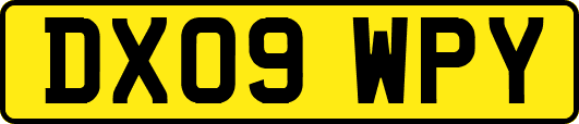 DX09WPY