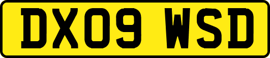 DX09WSD
