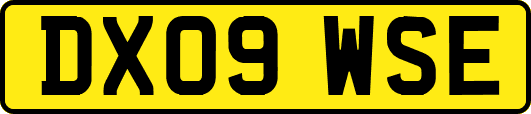 DX09WSE