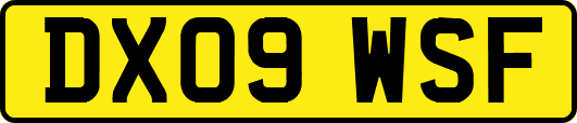 DX09WSF