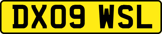 DX09WSL