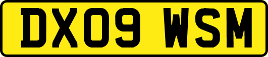 DX09WSM