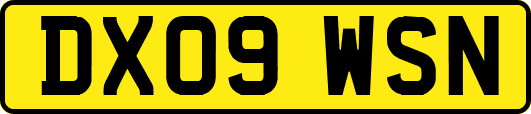 DX09WSN