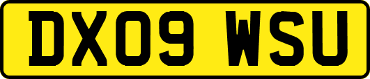 DX09WSU