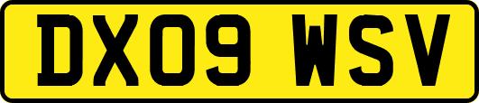 DX09WSV