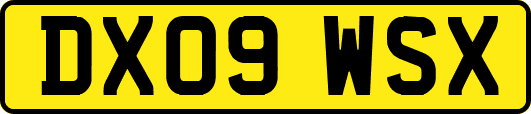 DX09WSX