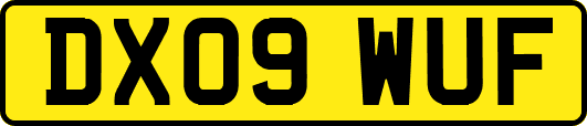 DX09WUF