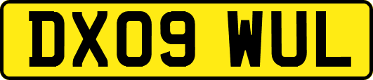 DX09WUL
