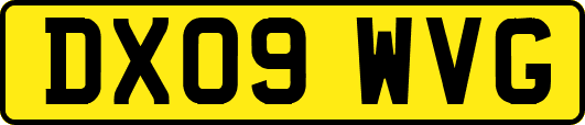 DX09WVG