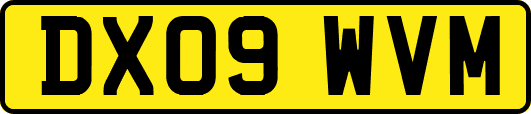 DX09WVM