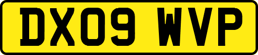 DX09WVP