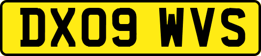 DX09WVS