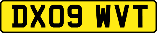 DX09WVT