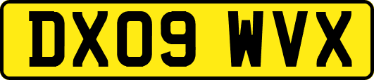 DX09WVX