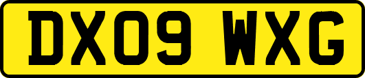DX09WXG