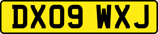 DX09WXJ