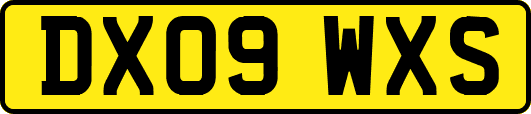 DX09WXS
