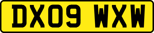 DX09WXW