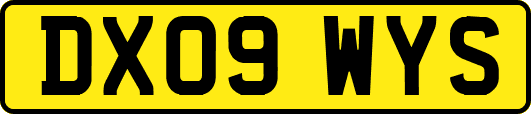 DX09WYS