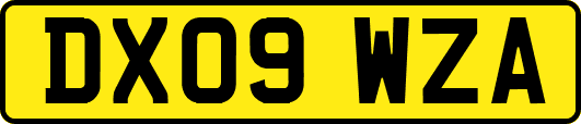 DX09WZA