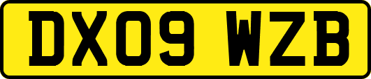 DX09WZB
