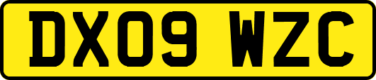 DX09WZC