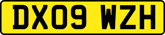 DX09WZH