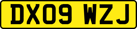 DX09WZJ