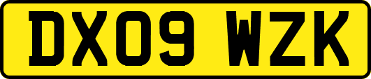 DX09WZK