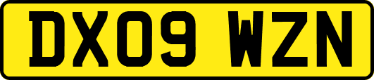 DX09WZN