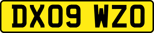 DX09WZO