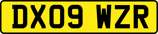 DX09WZR