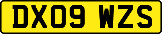 DX09WZS