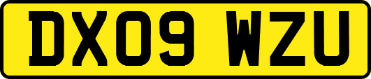 DX09WZU