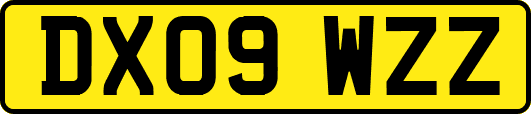 DX09WZZ
