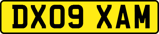 DX09XAM