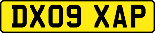 DX09XAP