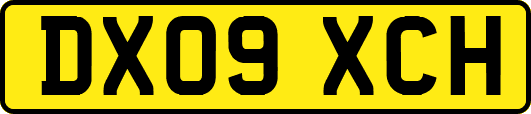 DX09XCH
