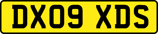 DX09XDS